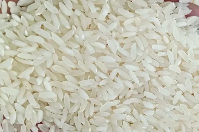 Sona Masoori Steam Rice